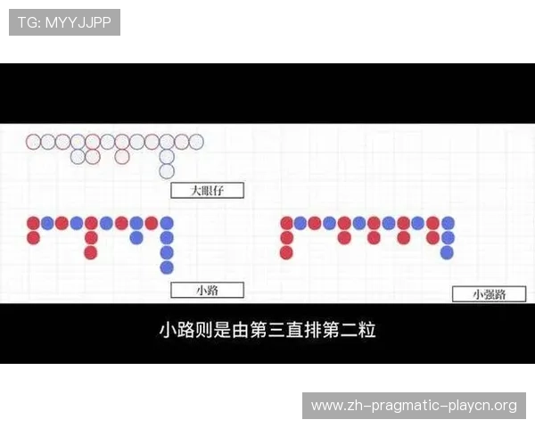 百家乐大眼仔小强路的基本规则与常见误区全面解析